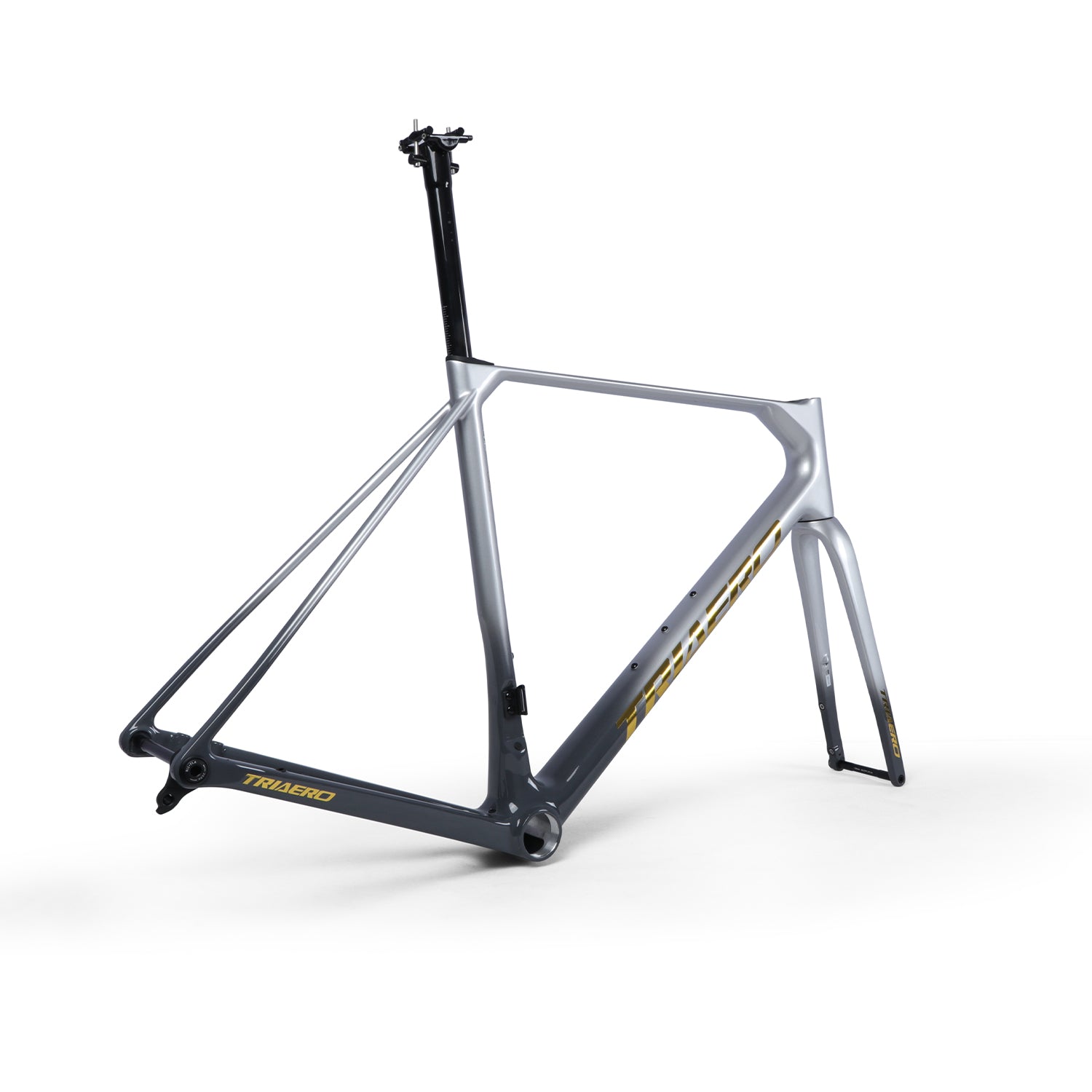 ICAN_uci-road_bike_frame_Flyee