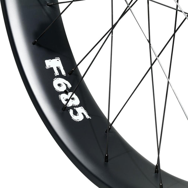 F685 Fat Bike Wheels DT350